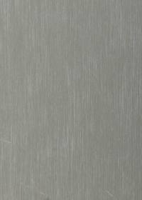 ANO/INOX LOOK/P